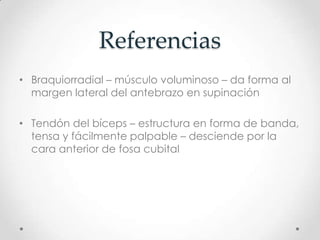 Referencias
• Braquiorradial – músculo voluminoso – da forma al
  margen lateral del antebrazo en supinación

• Tendón del bíceps – estructura en forma de banda,
  tensa y fácilmente palpable – desciende por la
  cara anterior de fosa cubital
 