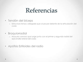 Referencias
• Tendón del bíceps
   o Estructura tensa y alargada que cruza por delante de la articulación del
     codo



• Braquiorradial
   o Músculo carnoso que surge junto con el primer y segundo radial del
     epicóndilo lateral del codo



• Apófisis Estiloides del radio
 