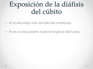 Exposición de la diáfisis
        del cúbito
• Es el abordaje más sencillo del antebrazo

• Pone al descubierto toda la longitud del hueso
 