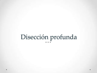 Disección profunda
 