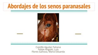 Abordajes de los senos paranasales
Castillo Aguilar,Tatiana
Felipe Angulo, Luis
Flores Ganoza, Maria Eduarda
 