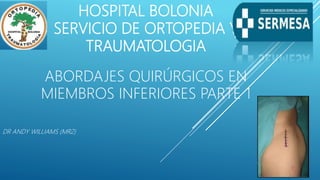 HOSPITAL BOLONIA
SERVICIO DE ORTOPEDIA Y
TRAUMATOLOGIA
ABORDAJES QUIRÚRGICOS EN
MIEMBROS INFERIORES PARTE 1
DR ANDY WILLIAMS (MR2)
 