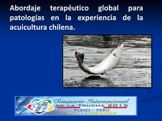 Abordaje terapéutico global para
patologías en la experiencia de la
acuicultura chilena.
 