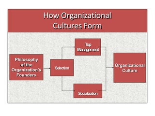 How Organizational
Cultures Form
Philosophy
of the
Organization’s
Founders
Organizational
Culture
Selection
T
op
Management
Socialization
 