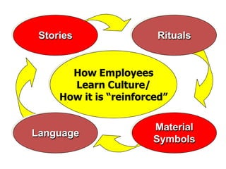 How Employees
Learn Culture/
How it is “reinforced”
Material
Symbols
Language
Stories Rituals
 