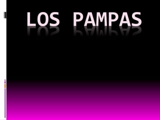 LOS PAMPAS 
 