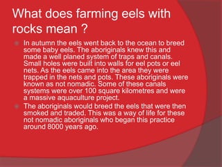 What does farming eels with
rocks mean ?
 In autumn the eels went back to the ocean to breed
some baby eels. The aboriginals knew this and
made a well planed system of traps and canals.
Small holes were built into walls for eel pots or eel
nets. As the eels came into the area they were
trapped in the nets and pots. These aboriginals were
known as not nomadic. Some of these canals
systems were over 100 square kilometres and were
a massive aquaculture project.
 The aboriginals would breed the eels that were then
smoked and traded. This was a way of life for these
not nomadic aboriginals who began this practice
around 8000 years ago.
 