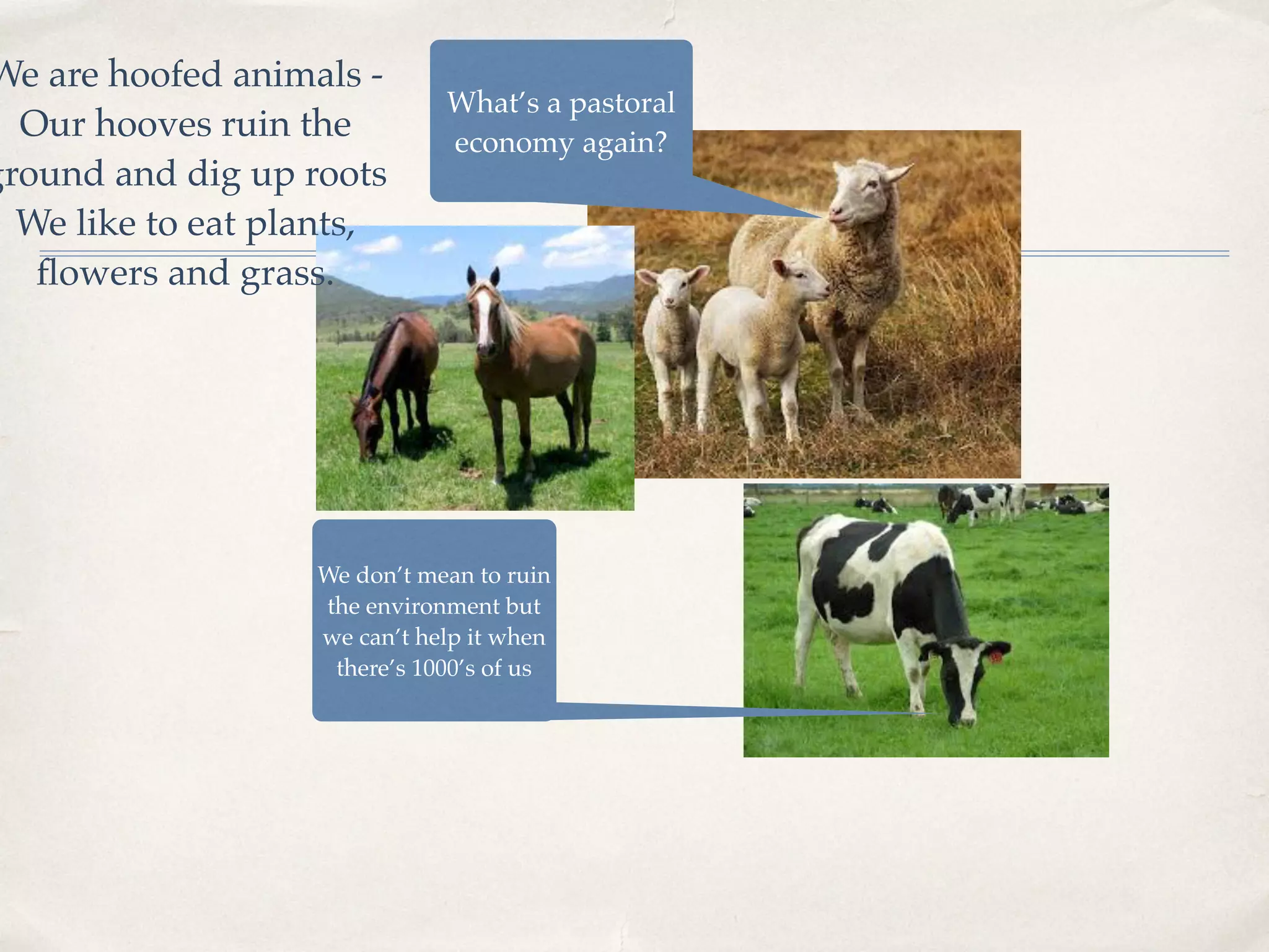 We are hoofed animals -
Our hooves ruin the
ground and dig up roots
We like to eat plants,
ﬂowers and grass.
We don’t mean to ruin
the environment but
we can’t help it when
there’s 1000’s of us
What’s a pastoral
economy again?
 