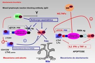 Abortamento Imunitário
Mixed lymphocyte reaction blocking antibody, IgG3
Feto
γδTCR / P60 R80k ag
CÉLULA DO
TROFOBLASTO NK
αβTCR / P60
CÉLULA DO
TROFOBLASTO
R80k ag
NK
+
MØ
NO,TNFα
CD4
LTh1
LTc
LB
Y
Mãe
IL2 IFN- γ TNF- α
Mecanismo de abortamentoMecanismo anti-aborto
LTCD8+
CD4-
CD8-
IL3,IL4,IL6,IL10,IL13,TGFβ2
LTh2 padrão
+
-
APOPTOSE
Anticorpo assimétrico
 