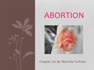 ABORTION




Chapter 20: By Marinda Turkson
 