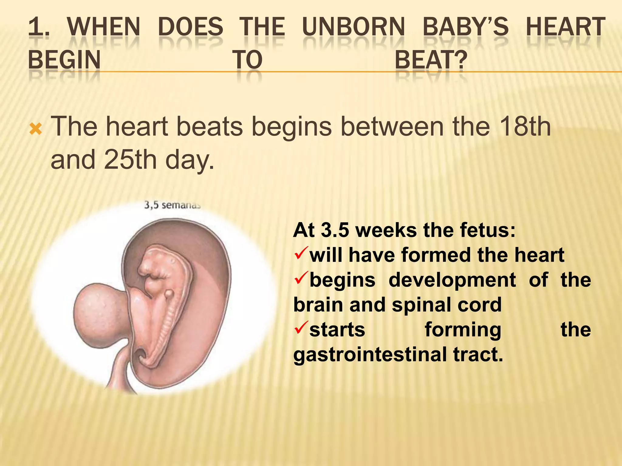 1. WHEN DOES THE UNBORN BABY’S HEART
BEGIN        TO       BEAT?

   The heart beats begins between the 18th
    and 25th day.

                      At 3.5 weeks the fetus:
                      will have formed the heart
                      begins development of the
                      brain and spinal cord
                      starts       forming     the
                      gastrointestinal tract.
 