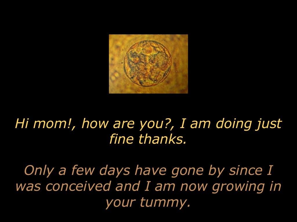 A Letter From An Unborn Baby To His Mom