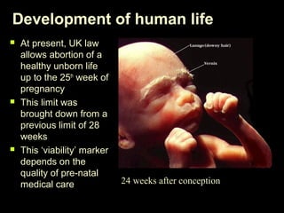 Development of human life 
 At present, UK law 
allows abortion of a 
healthy unborn life 
up to the 25th week of 
pregnancy 
 This limit was 
brought down from a 
previous limit of 28 
weeks 
 This ‘viability’ marker 
depends on the 
quality of pre-natal 
medical care 24 weeks after conception 
 