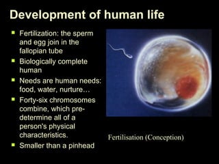 Development of human life 
 Fertilization: the sperm 
and egg join in the 
fallopian tube 
 Biologically complete 
human 
 Needs are human needs: 
food, water, nurture… 
 Forty-six chromosomes 
combine, which pre-determine 
all of a 
person's physical 
characteristics. 
 Smaller than a pinhead 
Fertilisation (Conception) 
 