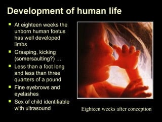 Development of human life 
 At eighteen weeks the 
unborn human foetus 
has well developed 
limbs 
 Grasping, kicking 
(somersaulting?) … 
 Less than a foot long 
and less than three 
quarters of a pound 
 Fine eyebrows and 
eyelashes 
 Sex of child identifiable 
with ultrasound Eighteen weeks after conception 
 