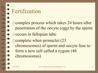 Fertilization
complex process which takes 24 hours after
penetration of the oocyte (egg) by the sperm
occurs in fallopian tube
complete when pronuclei (23
chromosomes) of sperm and oocyte fuse to
form a new cell called a zygote (46
chromosomes)
5/18/2018 6www.drjayeshpatidar.blogspot.com
 