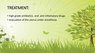 TREATMENT:
• high grade antibiotics and anti-inflamatory drugs.
• evacuation of the uterus under anesthesia.
 