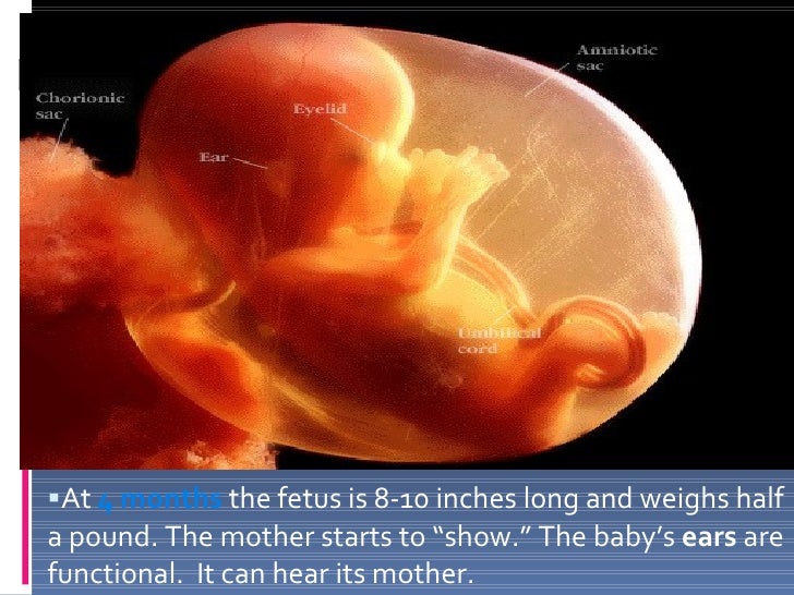  Abortion 4 Months Apart for Simple Design