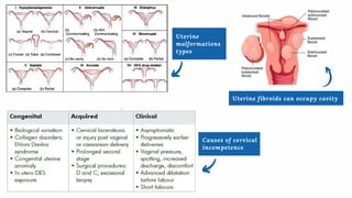 Uterine
malformations
types
Uterine fibroids can occupy cavity
Causes of cervical
incompetence
 