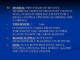 VI HYMEN: TWO FOLDS OF MUCOUS
MEMBRANE DERIVED FROM POST VAGINAL
WALL, FUSED IN MIDLINE EXCEPT FOR A
SMALL CENTRAL OPENING GUARDING THE
V. ORIFICE.
i. THICKNESS = 1mm
ii. CONSISTENCY: VARIES FROM THIN
PARCHMENT LIKE MEMBRANE TO FIRM,
ELASTIC FLESHY OR CARTILAGINOUS.
iii. BLOOD SUPPLY: SUFFICIENT
DEMONSTRABLE BLEEDING ON RUPTURE.
iv. SIZE: IN UN-RUPTURED STATE, SMALL
CENTRAL OPENING WILL BARELY ALLOWS
THE TIP OF LITTLE FINGER.
 