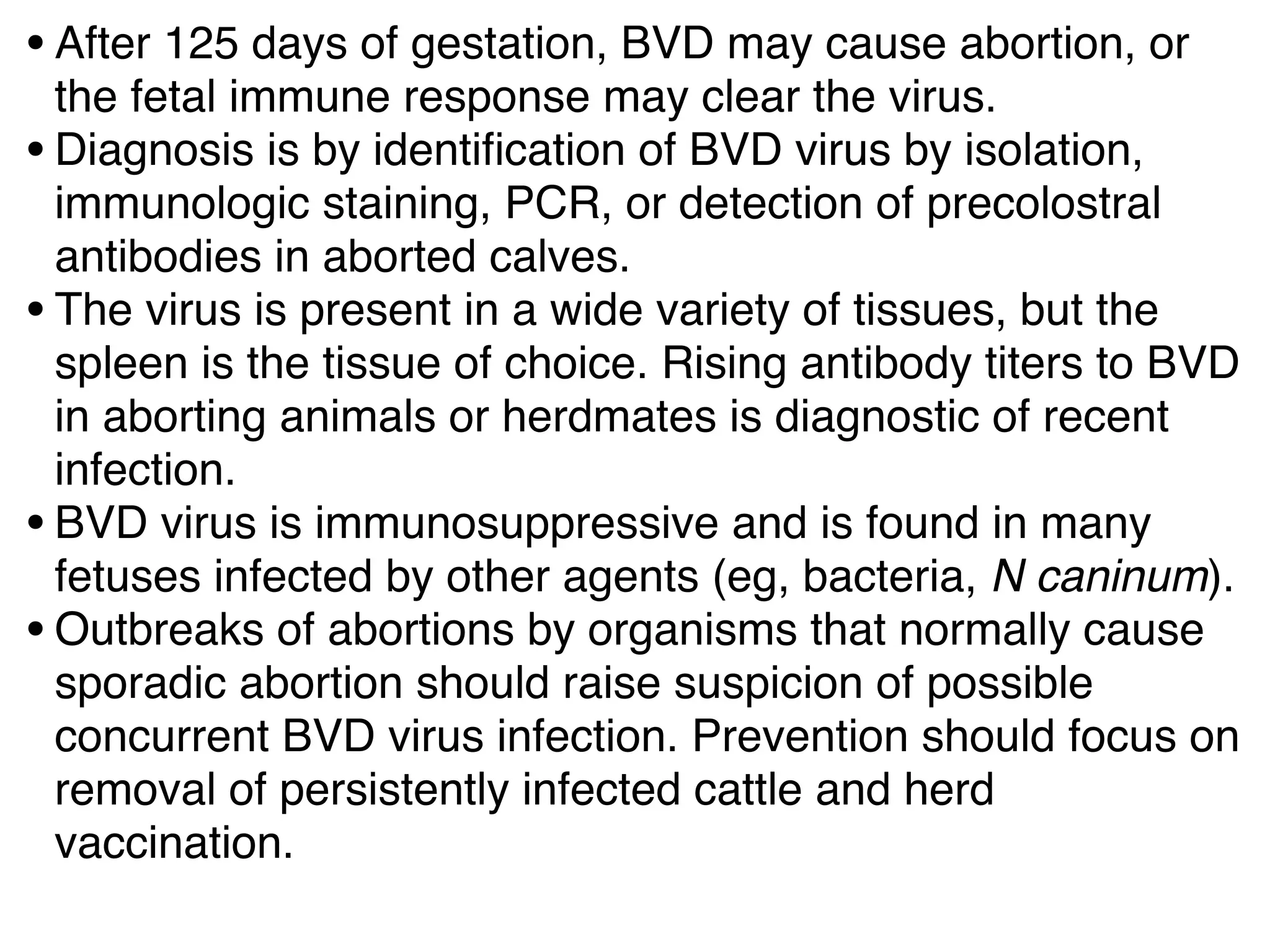 •After 125 days of gestation, BVD may cause abortion, or
the fetal immune response may clear the virus.
•Diagnosis is by identiﬁcation of BVD virus by isolation,
immunologic staining, PCR, or detection of precolostral
antibodies in aborted calves.
•The virus is present in a wide variety of tissues, but the
spleen is the tissue of choice. Rising antibody titers to BVD
in aborting animals or herdmates is diagnostic of recent
infection.
•BVD virus is immunosuppressive and is found in many
fetuses infected by other agents (eg, bacteria, N caninum).
•Outbreaks of abortions by organisms that normally cause
sporadic abortion should raise suspicion of possible
concurrent BVD virus infection. Prevention should focus on
removal of persistently infected cattle and herd
vaccination.
 