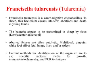 various causes of Abortion in Sheep and Goat.pptx