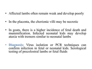 various causes of Abortion in Sheep and Goat.pptx