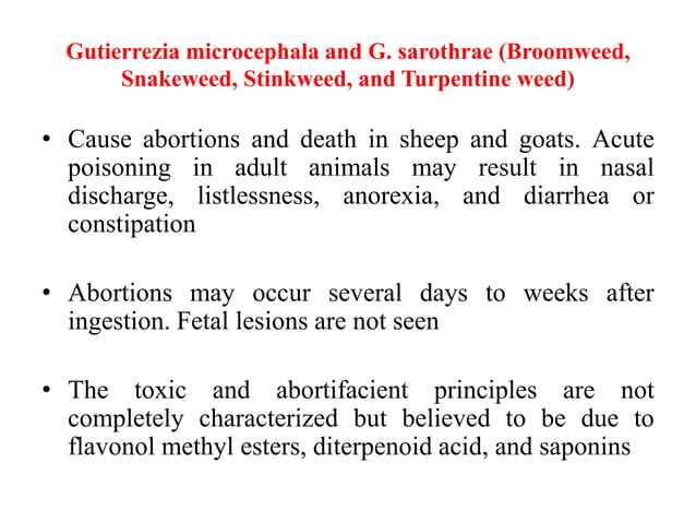 various causes of Abortion in Sheep and Goat.pptx