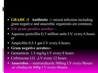  GRADE -3 Antibiotic -> mixed infection including
gram negative and anaerobic organisms are common.
 For gram positive aerobes :-
 Aqueous penicillin G 5 million units I.V. every 6 hours
or
 Ampicillin 0.5-1 gm I.V every 6 hours.
 Gram negative aerobes:-
 Gentamicin 1.5 mg/kg I.V every 8 hours
 Ceftriaxone I.G ,I.V every 12 hours.
 Anaerobes :- metronidazole 500mg I.V every 8hours
,or clindaycin 600g I.V every 6hours.
 