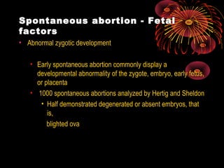 Spontaneous abortion - Fetal
factors
• Abnormal zygotic development
• Early spontaneous abortion commonly display a
developmental abnormality of the zygote, embryo, early fetus,
or placenta
• 1000 spontaneous abortions analyzed by Hertig and Sheldon
• Half demonstrated degenerated or absent embryos, that
is,
blighted ova
 