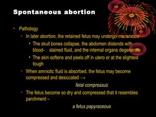 Spontaneous abortion
• Pathology
• In later abortion, the retained fetus may undergo maceration
• The skull bones collapse, the abdomen distends with
blood- stained fluid, and the internal organs degenerate
• The skin softens and peels off in utero or at the slightest
tough
• When amniotic fluid is absorbed, the fetus may become
compressed and desiccated →
fetal compressus
• The fetus become so dry and compressed that it resembles
parchment –
a fetus papyraceous
 