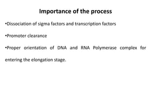 Importance of the process
•Dissociation of sigma factors and transcription factors
•Promoter clearance
•Proper orientation of DNA and RNA Polymerase complex for
entering the elongation stage.
 