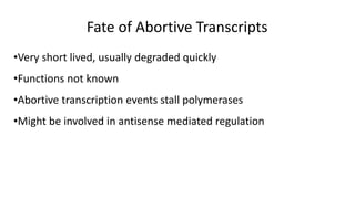 Fate of Abortive Transcripts
•Very short lived, usually degraded quickly
•Functions not known
•Abortive transcription events stall polymerases
•Might be involved in antisense mediated regulation
 