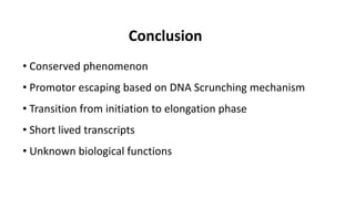Conclusion
• Conserved phenomenon
• Promotor escaping based on DNA Scrunching mechanism
• Transition from initiation to elongation phase
• Short lived transcripts
• Unknown biological functions
 