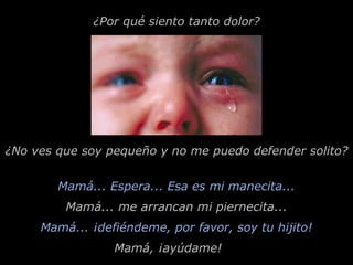 Mamá... Espera... Esa es mi manecita... ¿Por qué siento tanto dolor? Mamá... ¡defiéndeme, por favor, soy tu hijito! ¿No ves que soy pequeño y no me puedo defender solito? Mamá... me arrancan mi piernecita... Mamá, ¡ayúdame! 