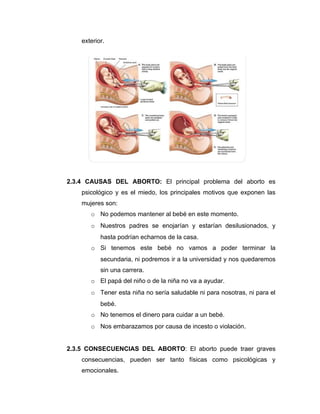 exterior.




2.3.4 CAUSAS DEL ABORTO: El principal problema del aborto es
    psicológico y es el miedo, los principales motivos que exponen las
    mujeres son:
       o No podemos mantener al bebé en este momento.
       o Nuestros padres se enojarían y estarían desilusionados, y
           hasta podrían echarnos de la casa.
       o Si tenemos este bebé no vamos a poder terminar la
           secundaria, ni podremos ir a la universidad y nos quedaremos
           sin una carrera.
       o El papá del niño o de la niña no va a ayudar.
       o Tener esta niña no sería saludable ni para nosotras, ni para el
           bebé.
       o No tenemos el dinero para cuidar a un bebé.
       o Nos embarazamos por causa de incesto o violación.


2.3.5 CONSECUENCIAS DEL ABORTO: El aborto puede traer graves
    consecuencias, pueden ser tanto físicas como psicológicas y
    emocionales.
 