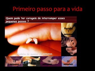 Primeiro passo para a vidaQuem pode ter coragem de interromper esses pequenos passos ?Pezinho 7 semanasPezinho    11 semanasPezinho de apenas 10 semanas.12 semanas     16 semanas12 semanas8 semanas