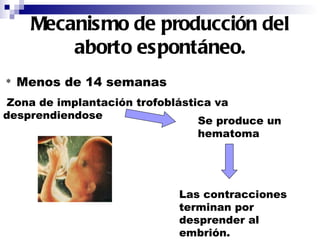 Mecanismo de producción del aborto espontáneo. *  Menos de 14 semanas Zona de implantación trofoblástica va  desprendiendose Se produce un hematoma Las contracciones terminan por desprender al embrión. 