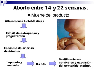 Aborto entre 14 y 22 semanas. Muerte del producto  Alteraciones trofoblásticas Deficit de estrógenos y progesterona Espasmo de arterias deciduales Isquemia y necrosis Cs Us Modificaciones cervicales y expulsión del contenido uterino. 