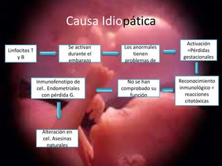 Causa Idiopática
                                                            Activación
                            Se activan    Los anormales
Linfocitos T                                                 =Pérdidas
                            durante el        tienen
    yB                                                     gestacionales
                            embarazo      problemas de


               Inmunofenotipo de           No se han      Reconocimiento
               cel.. Endometriales       comprobado su    inmunológico =
                 con pérdida G.             función         reacciones
                                                            citotóxicas




                 Alteración en
                 cel. Asesinas
                   naturales
 