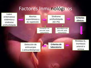 Factores Inmunológicos
     Lupus
 eritematoso              Abortos                            Síndrome
                                                                                      Criterios
 sistémico y           espontáneos y                       antifosfolípido
                                                                                      clínicos:
  síndrome              de repetición                         (42-7%)
antifosfolípido
                                          Primarios: sin           Secundaria con
                                          otra enf. auto            otra enf. auto
                                           inmunitaria               inmunitaria



                                                                                     Pérdidas G.,
                      Detección de                          Criterios de              trombosis
                      anticuerpos                           laboratorio:               arterial o
                   ( anticardiolipinas)                                                 venosa
 