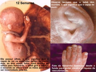 12 Semanas Observe também que o bebê têm
ouvidos, o que significa que é capaz de
ouvir.
Ele possui olhos, o que significa que é
capaz de ver na escuridão dentro do útero;
mas, ao tirar essas fotos, uma técnica se
utiliza para iluminá-lo, o bebê gira a cabeça
e esconde os olhos entre as mãos para não
ser incomodado pela luz.
Foto da mãozinha iluminada desde o
fundo para poder mostrar a riqueza da
vascularização.
 