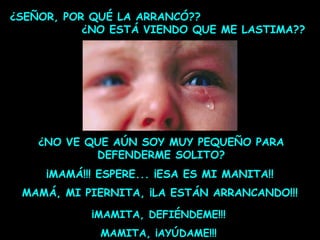 ¿SEÑOR, POR QUÉ LA ARRANCÓ??
¿NO ESTÁ VIENDO QUE ME LASTIMA??

¿NO VE QUE AÚN SOY MUY PEQUEÑO PARA
DEFENDERME SOLITO?
¡MAMÁ!!! ESPERE... ¡ESA ES MI MANITA!!
MAMÁ, MI PIERNITA, ¡LA ESTÁN ARRANCANDO!!!
¡MAMITA, DEFIÉNDEME!!!
MAMITA, ¡AYÚDAME!!!

 