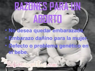 RAZONES PARA UN
ABORTO
• No desea quedar embarazada.
• Embarazo dañino para la mujer.
• Defecto o problema genético en
el bebe.
 