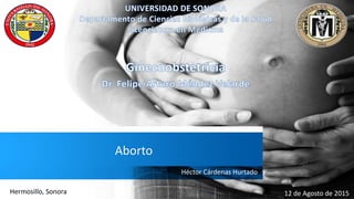 Héctor Cárdenas Hurtado
Aborto
12 de Agosto de 2015Hermosillo, Sonora
 