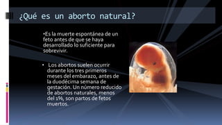 •Es la muerte espontánea de un
feto antes de que se haya
desarrollado lo suficiente para
sobrevivir.
• Los abortos suelen ocurrir
durante los tres primeros
meses del embarazo, antes de
la duodécima semana de
gestación. Un número reducido
de abortos naturales, menos
del 1%, son partos de fetos
muertos.
¿Qué es un aborto natural?
 
