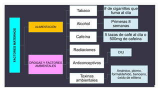 FACTORESMATERNOS
ALIMENTACIÓN
DROGAS Y FACTORES
AMBIENTALES
Tabaco
# de cigarrillos que
fuma al día
Alcohol
Primeras 8
semanas
Cafeína
5 tazas de café al día o
500mg de cafeína
Radiaciones
Anticonceptivos
DIU
Toxinas
ambientales
Arsénico, plomo,
formaldehído, benceno,
óxido de etileno
 