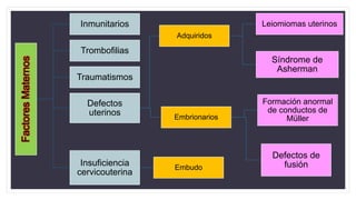 FactoresMaternos Inmunitarios
Trombofilias
Traumatismos
Defectos
uterinos
Adquiridos
Leiomiomas uterinos
Síndrome de
Asherman
Embrionarios
Formación anormal
de conductos de
Müller
Defectos de
fusiónInsuficiencia
cervicouterina
Embudo
 