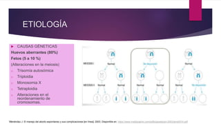 ETIOLOGÍA
 CAUSAS GÉNETICAS
Huevos aberrantes (80%)
Fetos (5 a 10 %)
(Alteraciones en la meiosis)
o Trisomía autosómica
o Triploidia
o Monosomia X
o Tetraploidia
o Alteraciones en el
reordenamiento de
cromosomas.
Menéndez J. El manejo del aborto espontaneo y sus complicaciones [en línea]. 2003. Disponible en: https://www.medigraphic.com/pdfs/gaceta/gm-2003/gms031h.pdf
 