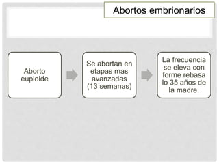 Abortos embrionarios
Aborto
euploide
Se abortan en
etapas mas
avanzadas
(13 semanas)
La frecuencia
se eleva con
forme rebasa
lo 35 años de
la madre.
 